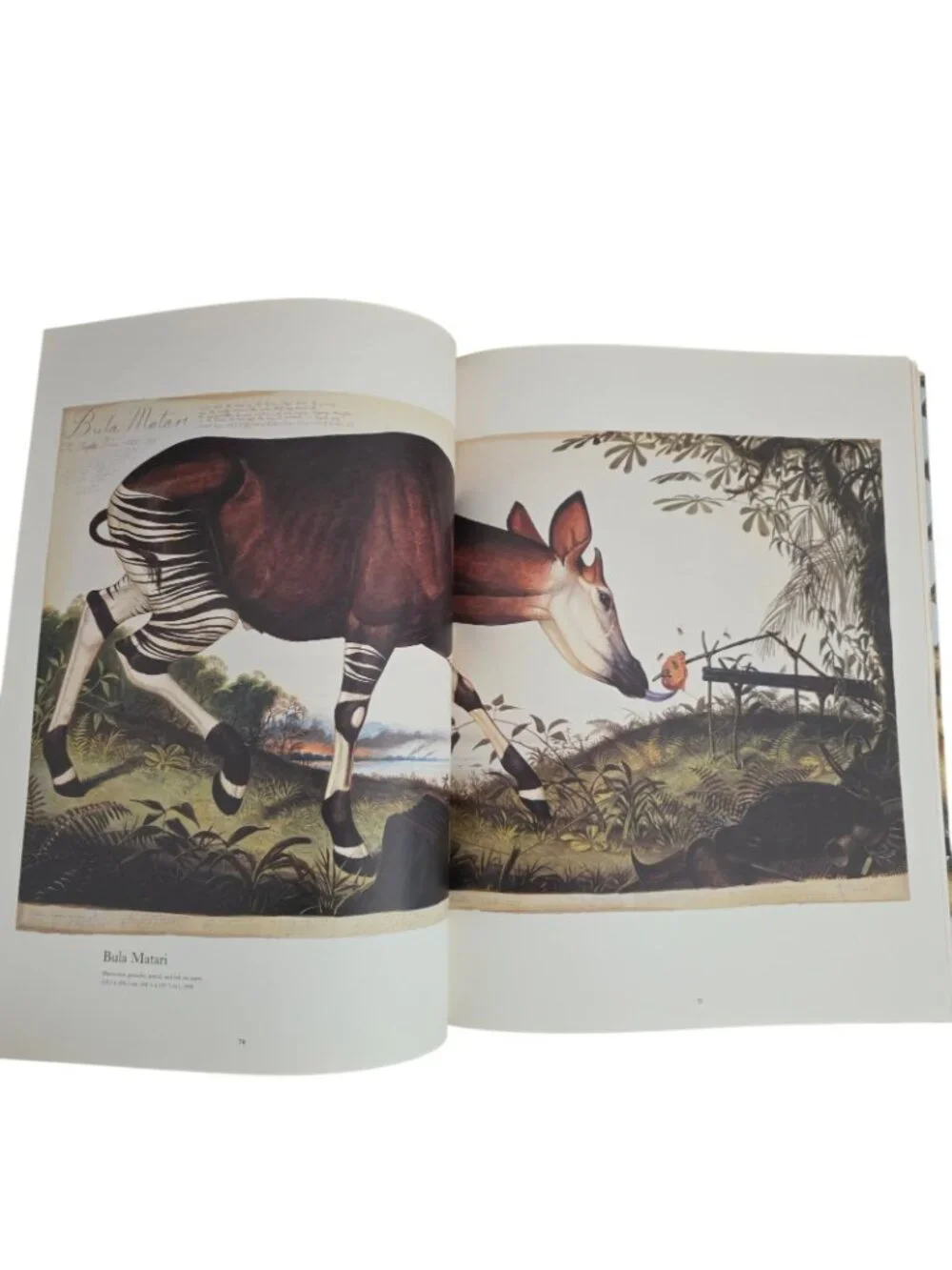 Walton Ford Pancha Tantra by Bill Buford 2009 Hardcover Art Monograph Book